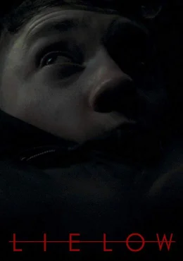 Залечь на дно Залечь на дно