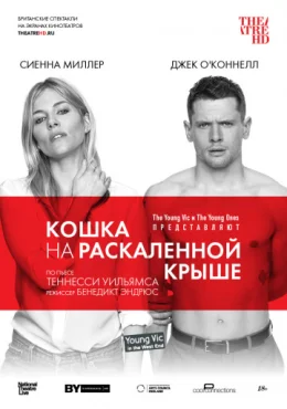 Кошка на раскалённой крыше Кошка на раскалённой крыше