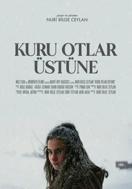 О сухой траве О сухой траве