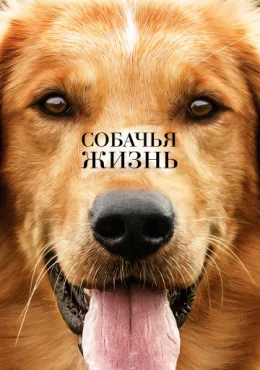 Собачья жизнь Собачья жизнь
