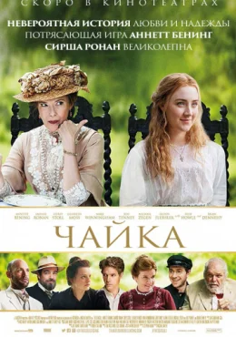 Чайка Чайка