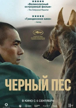 Чёрный пёс Чёрный пёс