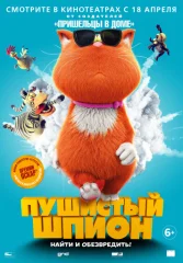 Мы – шпионы